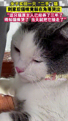 12月31日报道，重庆，一女子买回一只“二手”猫咪，一路很安静，不闹也不叫，不曾