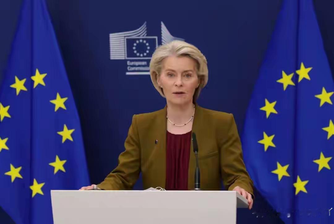 欧盟这波操作属实把自己玩进去了！12月刚拍板无限期冻结俄央行2100亿欧元资产，