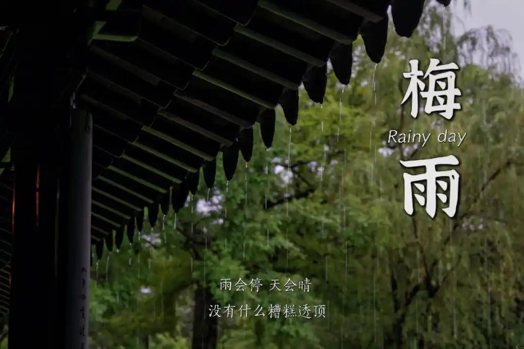 入梅后湿气重！建议中老年常喝3汤，健脾消暑祛湿，顺利度盛夏每年入梅，空气湿得不