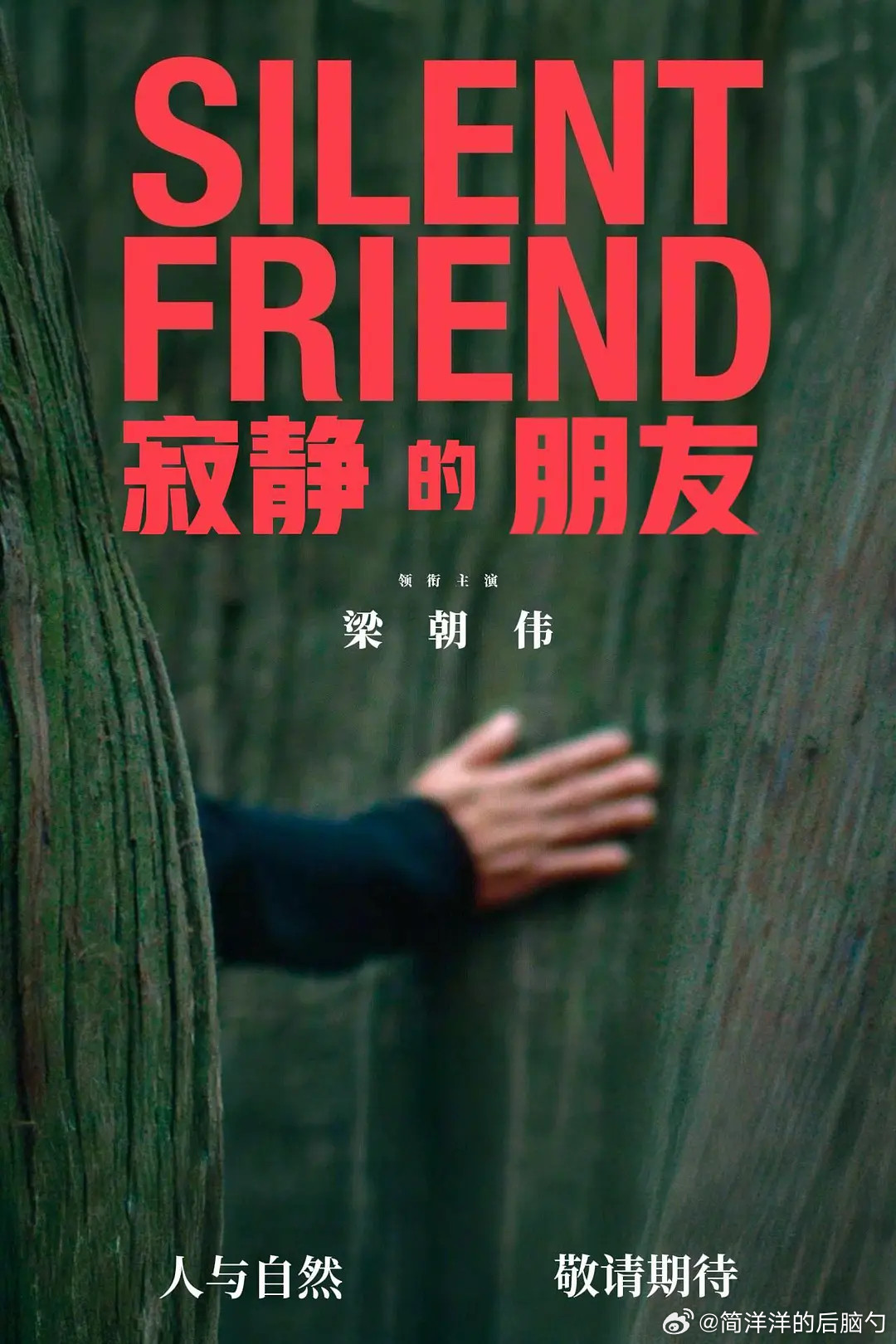 梁朝伟主演的《寂静的朋友》官方电影周边是一片银杏树叶的样子