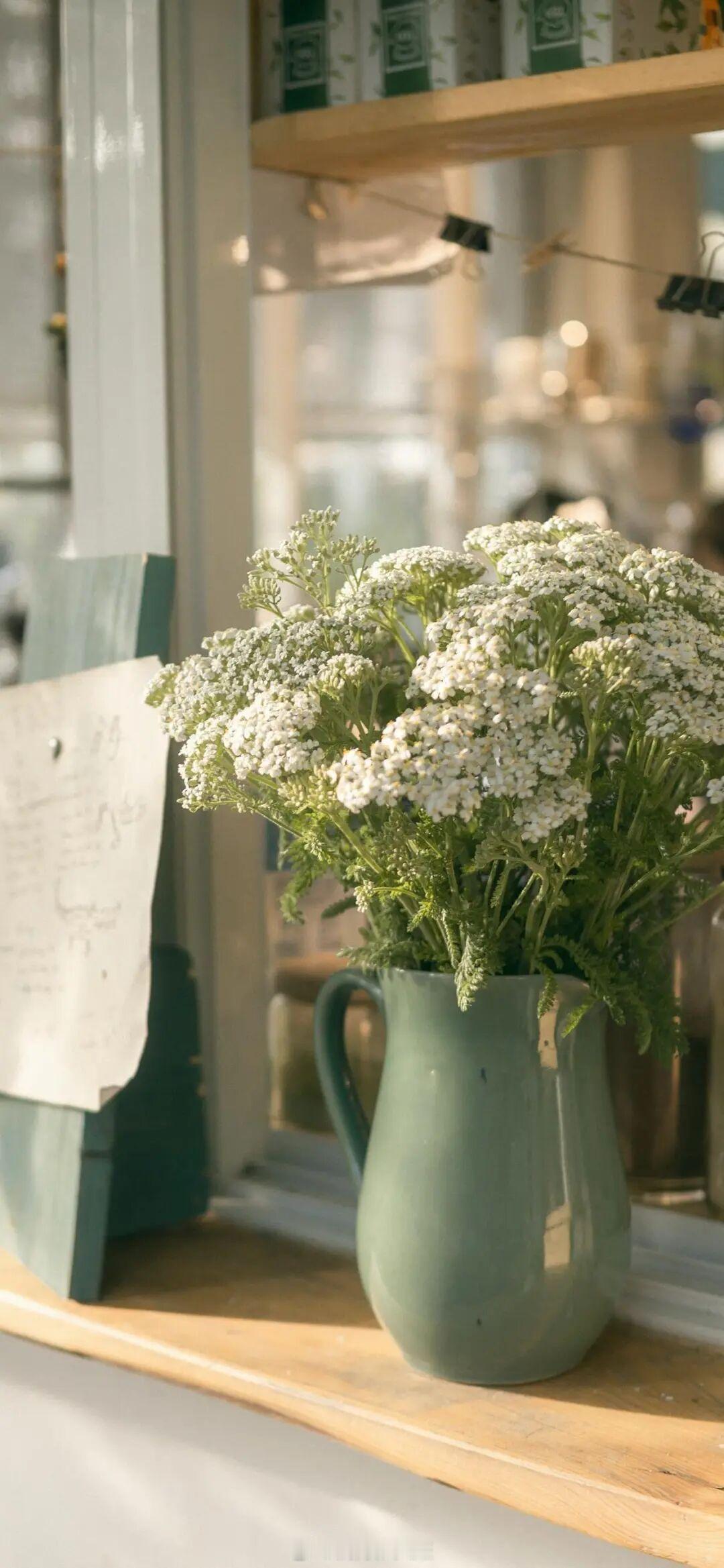 人用太阳光洗了脸，就感到有活下去的必要。——保尔·艾吕雅