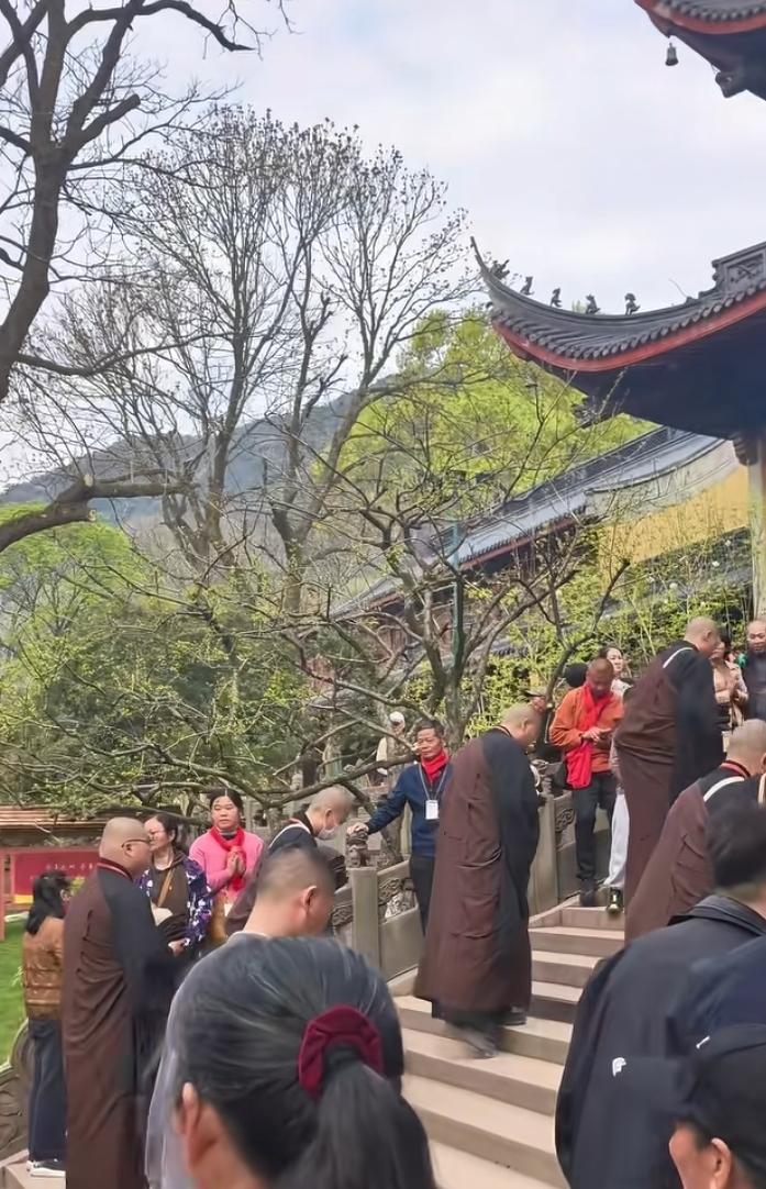 最近，刷到和尚的视频很多。没有想到，寺庙里的和尚居然这么整齐划一，都长得人高马大