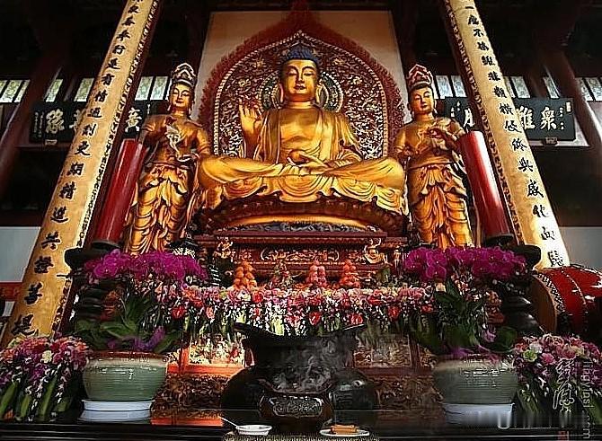 杭州灵隐寺｜东方三圣：消灾延寿，治愈身心的千年祈愿🙏在灵隐寺的香火缭绕里