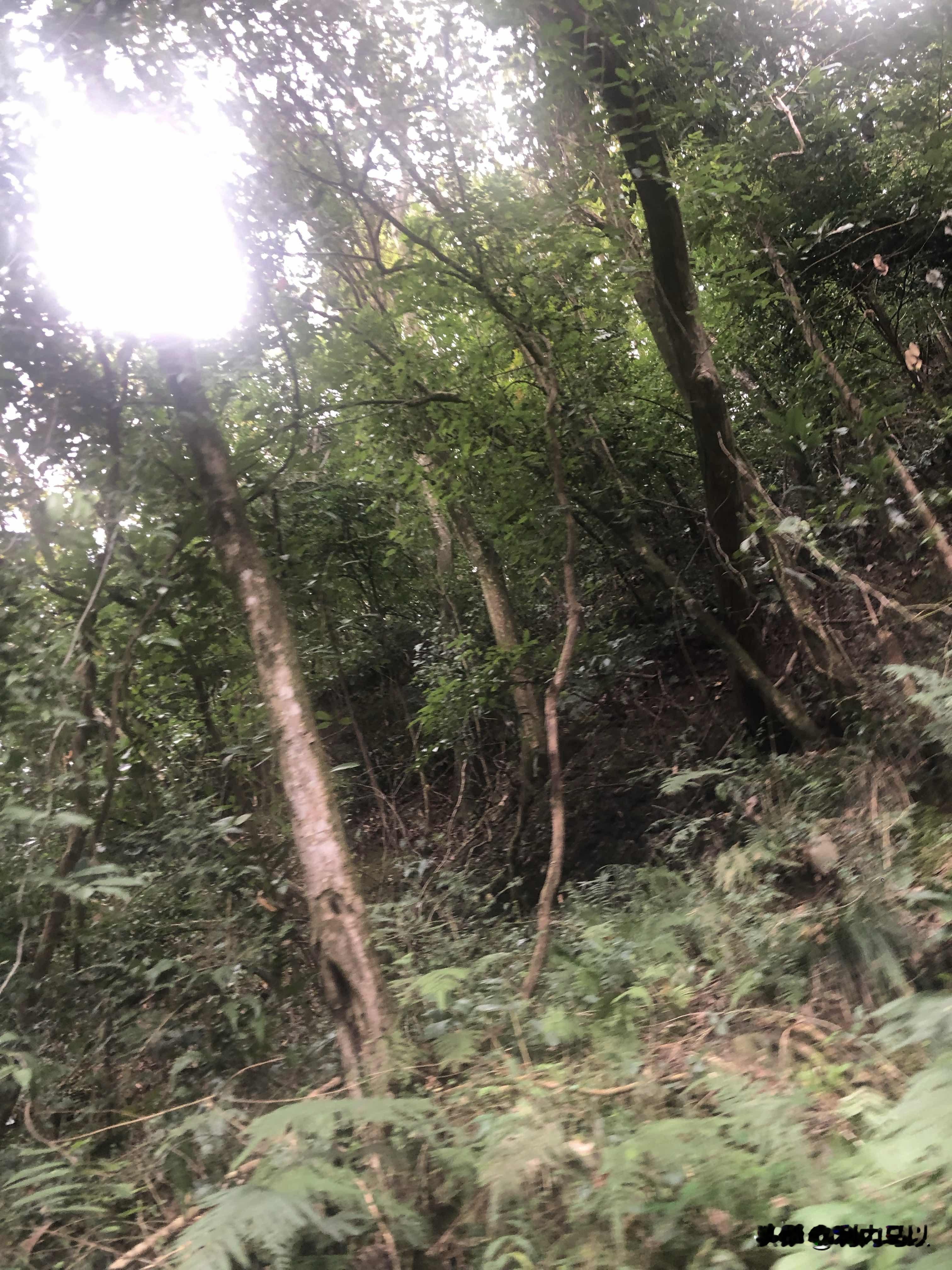 这几天某金店店员47秒视频被炒的沸沸扬扬，我只能说，出轨就是人品烂透...