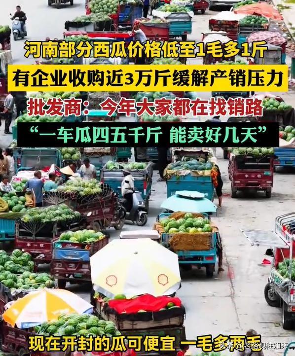 终于弄明白了，西瓜降到这个价，不是没人吃瓜了，是种瓜的人实在太多了，多到一矿泉