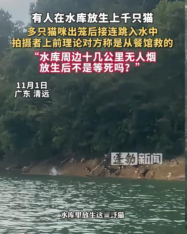 见过离谱的放生，没见过这么缺德的！​​​广东清远迎嘴水库，有人拉了几卡车从餐馆