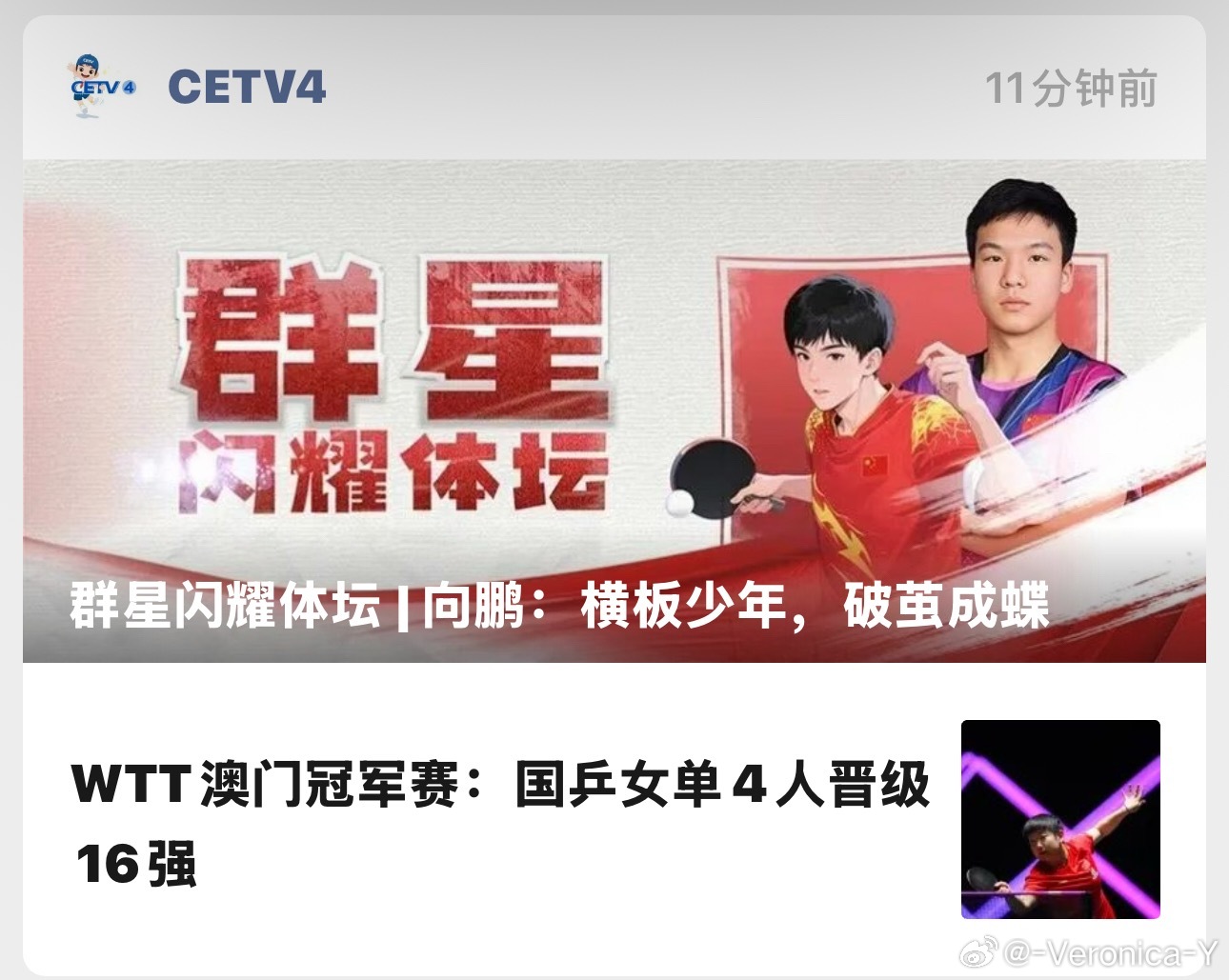 你也太好笑了吧！向鹏昨天输球你是没看吗？如果你没看你为什么只写女乒4人晋级16强