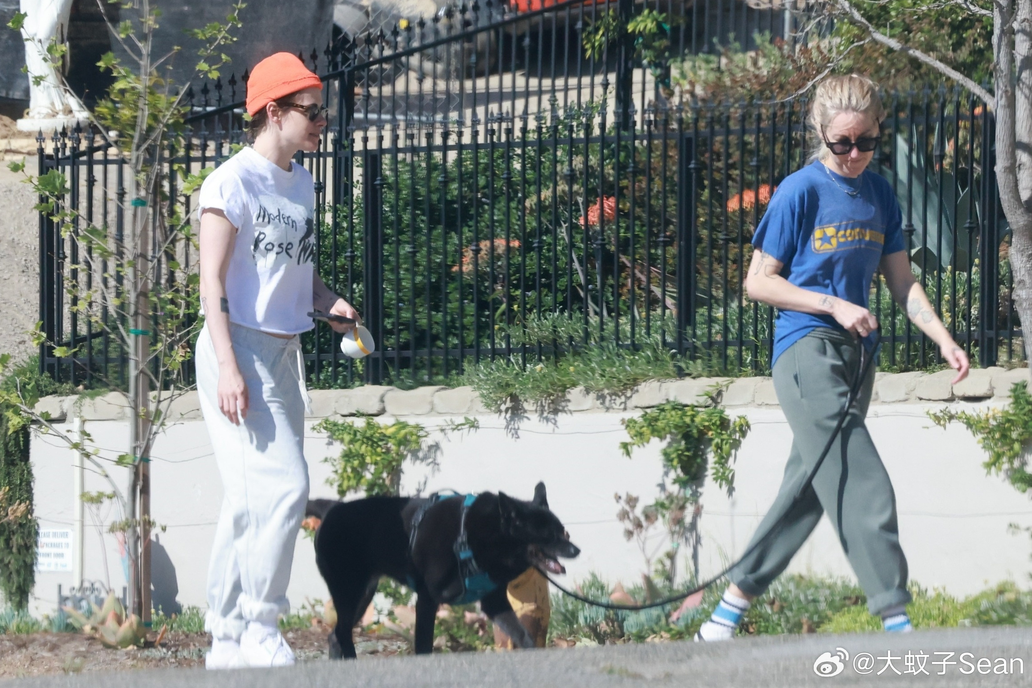 KristenStewart克里斯汀斯图尔特和老婆DylanMeyer在洛杉