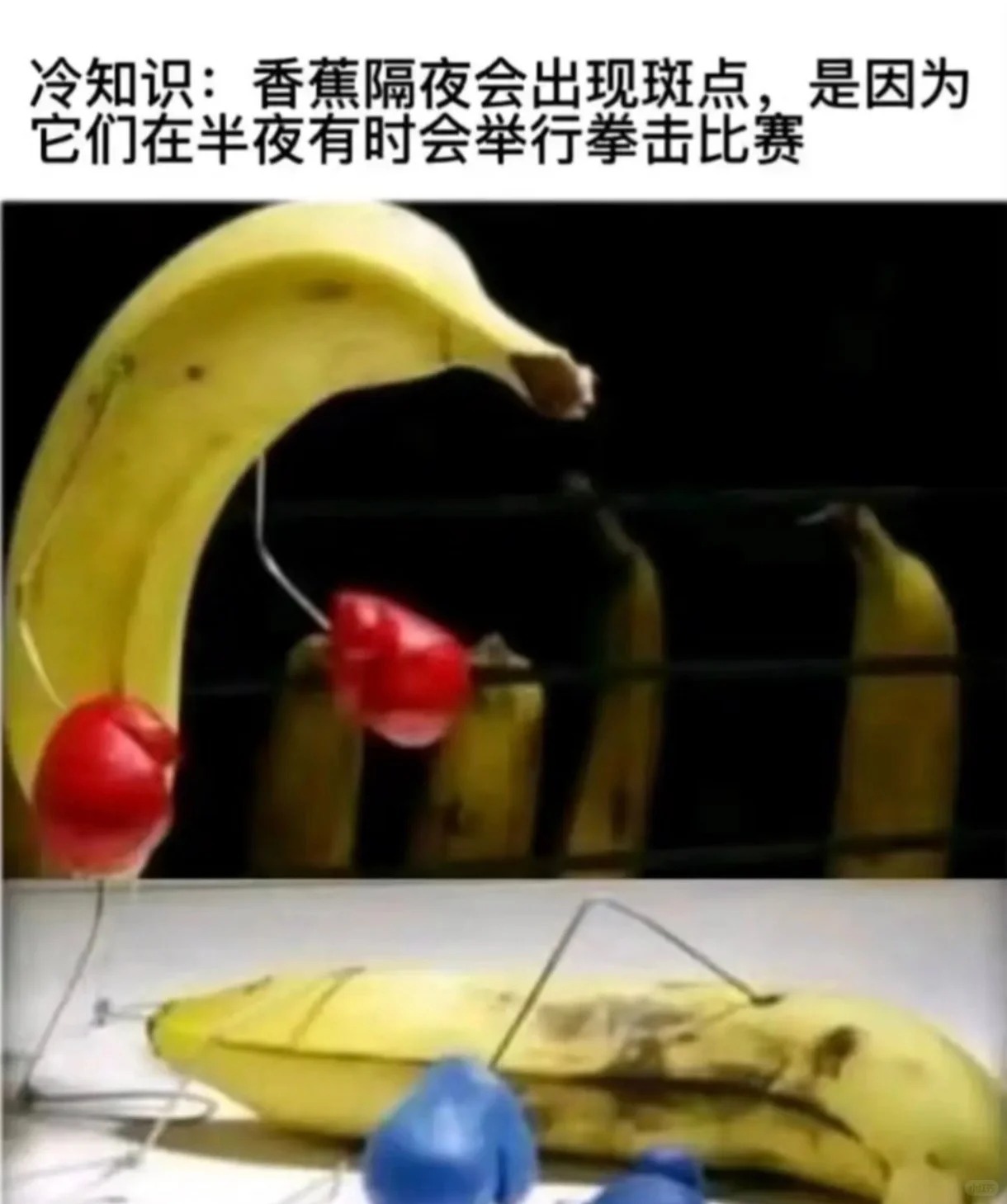 我奇怪的笑点在这种地方发挥的淋漓尽致