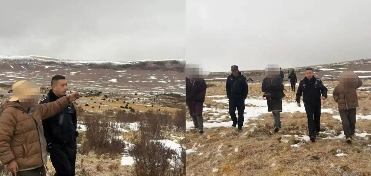 🐺惊魂！青海一牧民徒手搏狼，双手被咬伤4月1日，青海果洛州达日县桑日麻乡