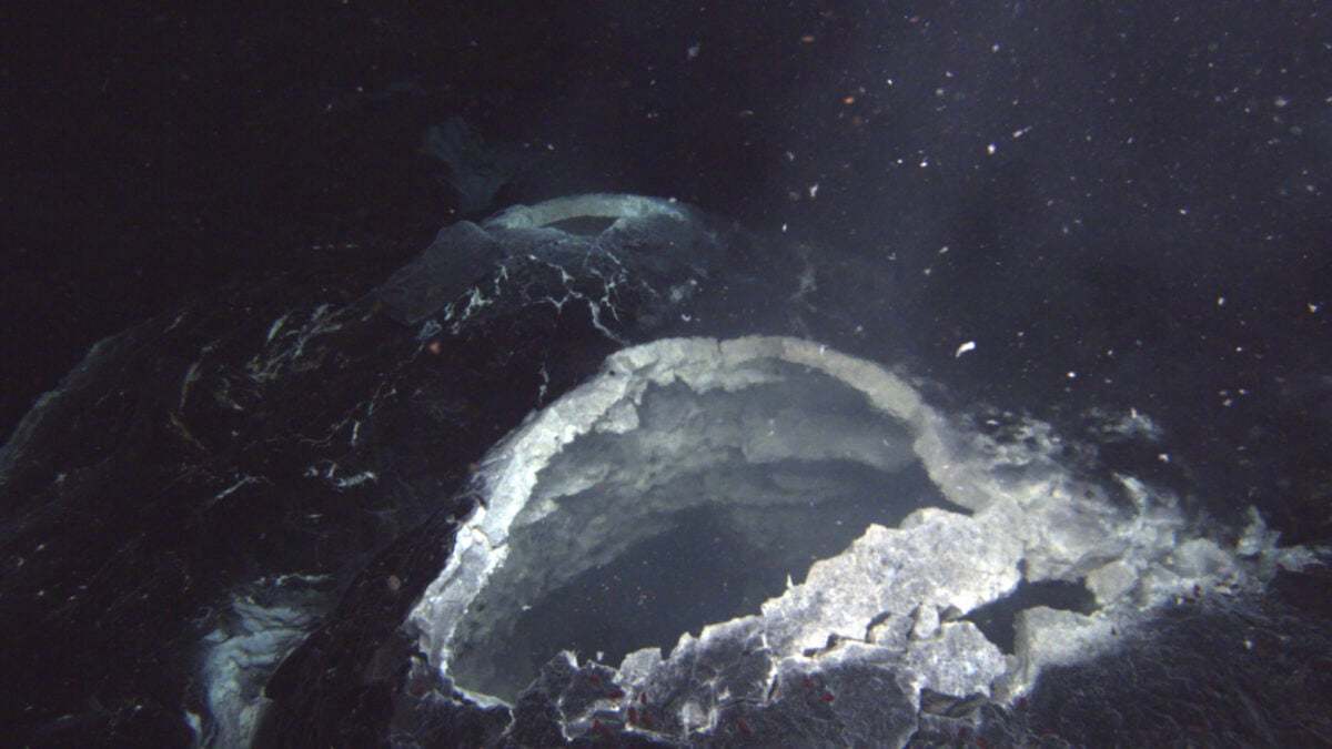 6600万年前，一颗直径十几公里的小行星砸进了今天墨西哥尤卡坦半岛的海面，留下一