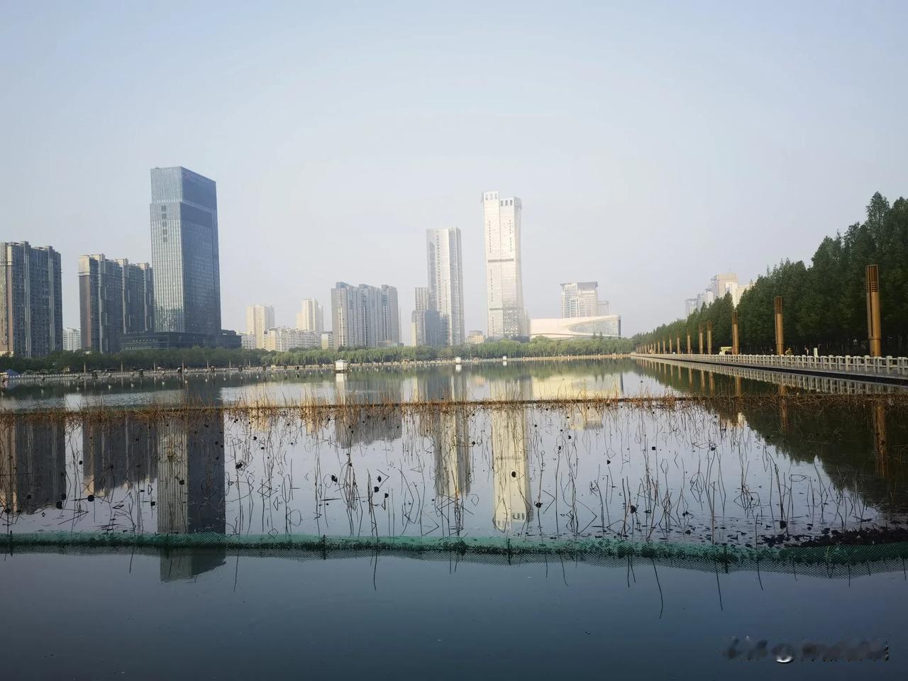每天上班前，我都会去洛阳新区开元湖散步一个小时，大概能绕着湖转两圈。看着清澄的湖