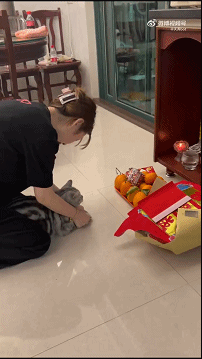 菩萨保佑，天降小鱼干！