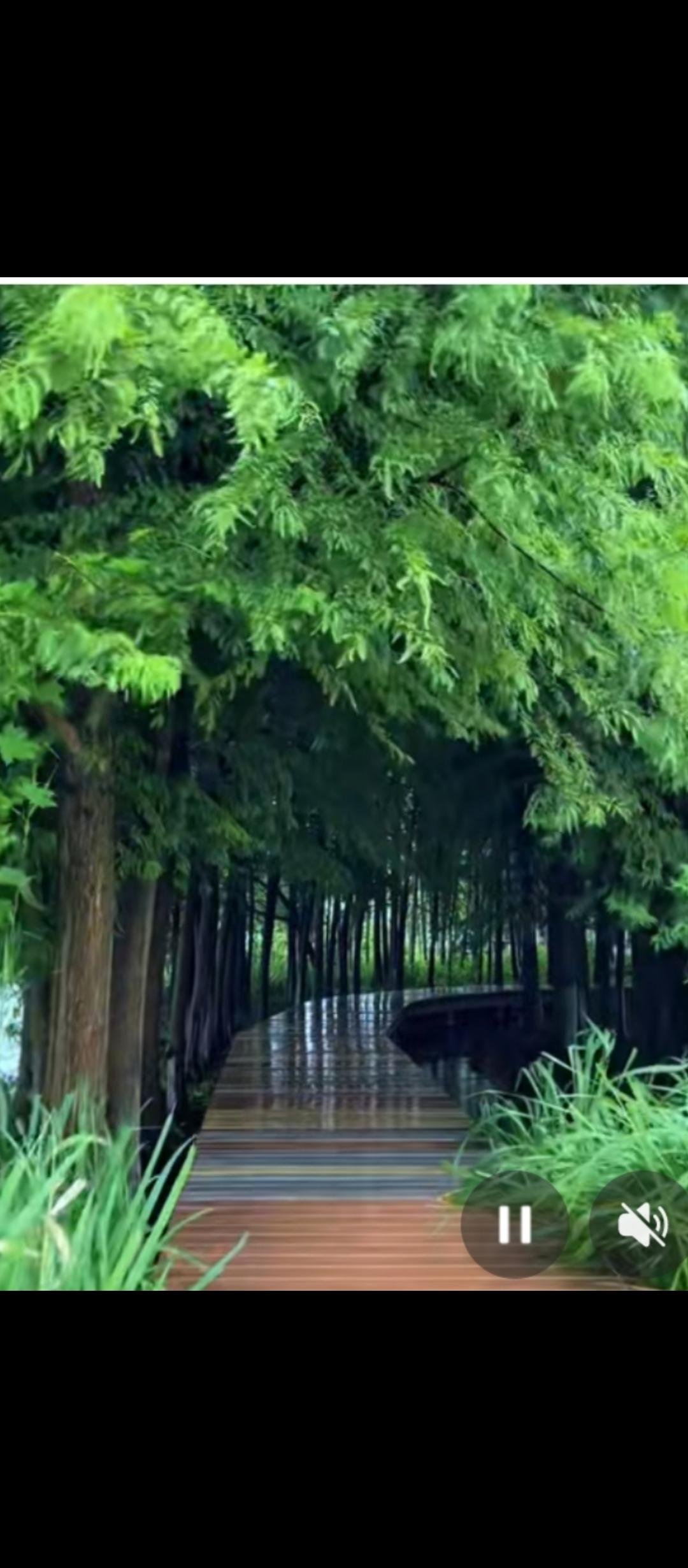 祖父的战争岁月（根据口述整理.）二.枪栓换取金戒指1942年