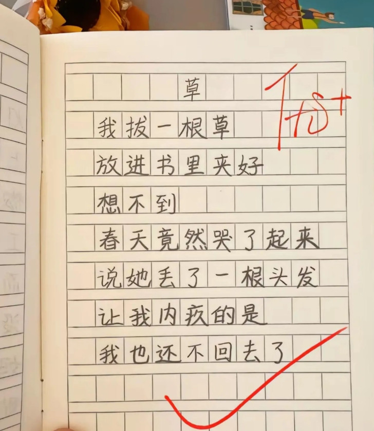 这篇小作文让我佩服的五体投地！越来越接近一个小诗人的水准了！