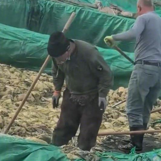 最近看到个特别让人倒胃口的新闻：辽宁润泽农业有限公司被罚了，公司罚5万停产停业，