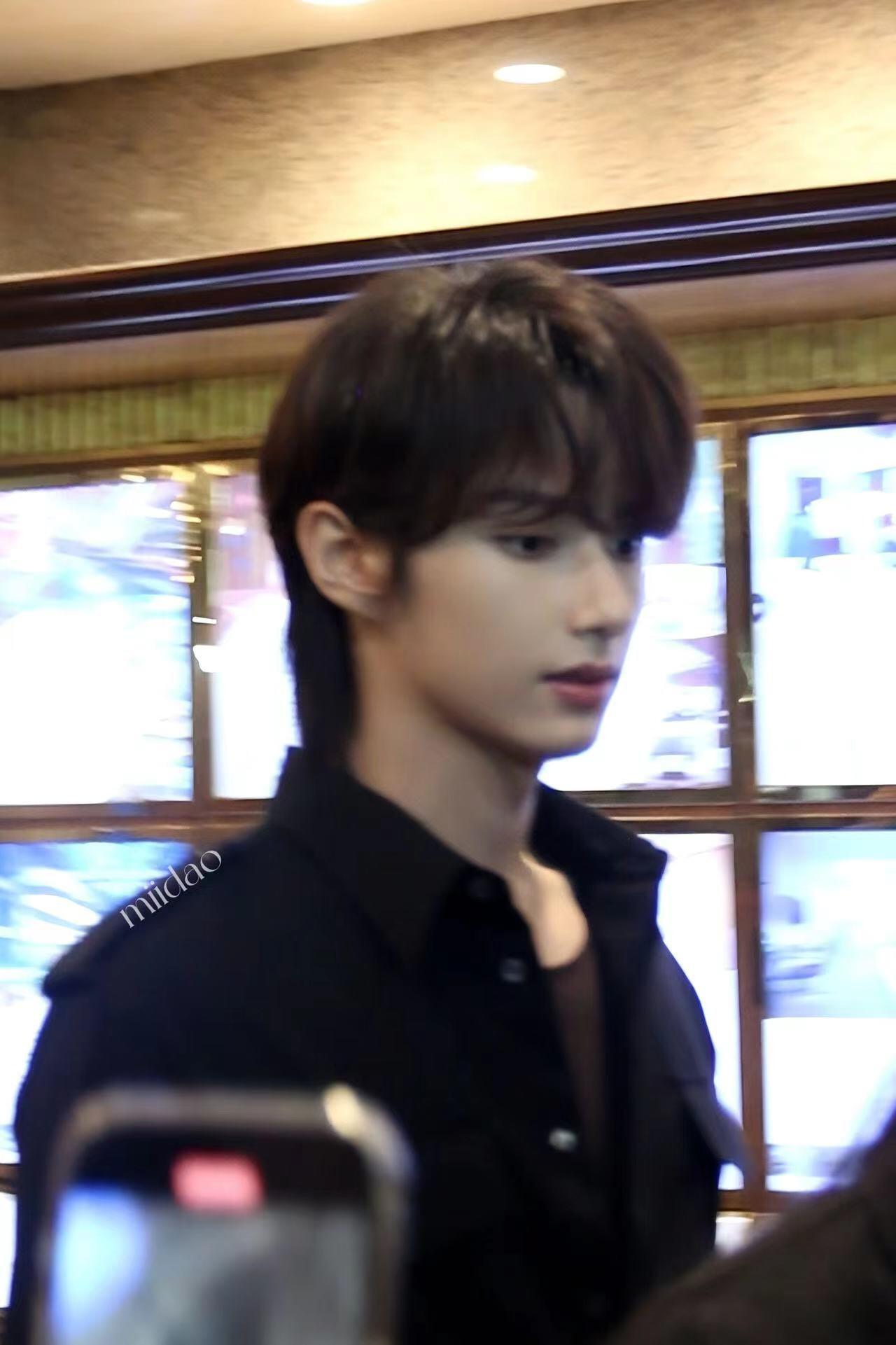 文俊辉重生2开机【文俊辉】猫咪图鉴😺😸😼😽😹😻😿🙀😾