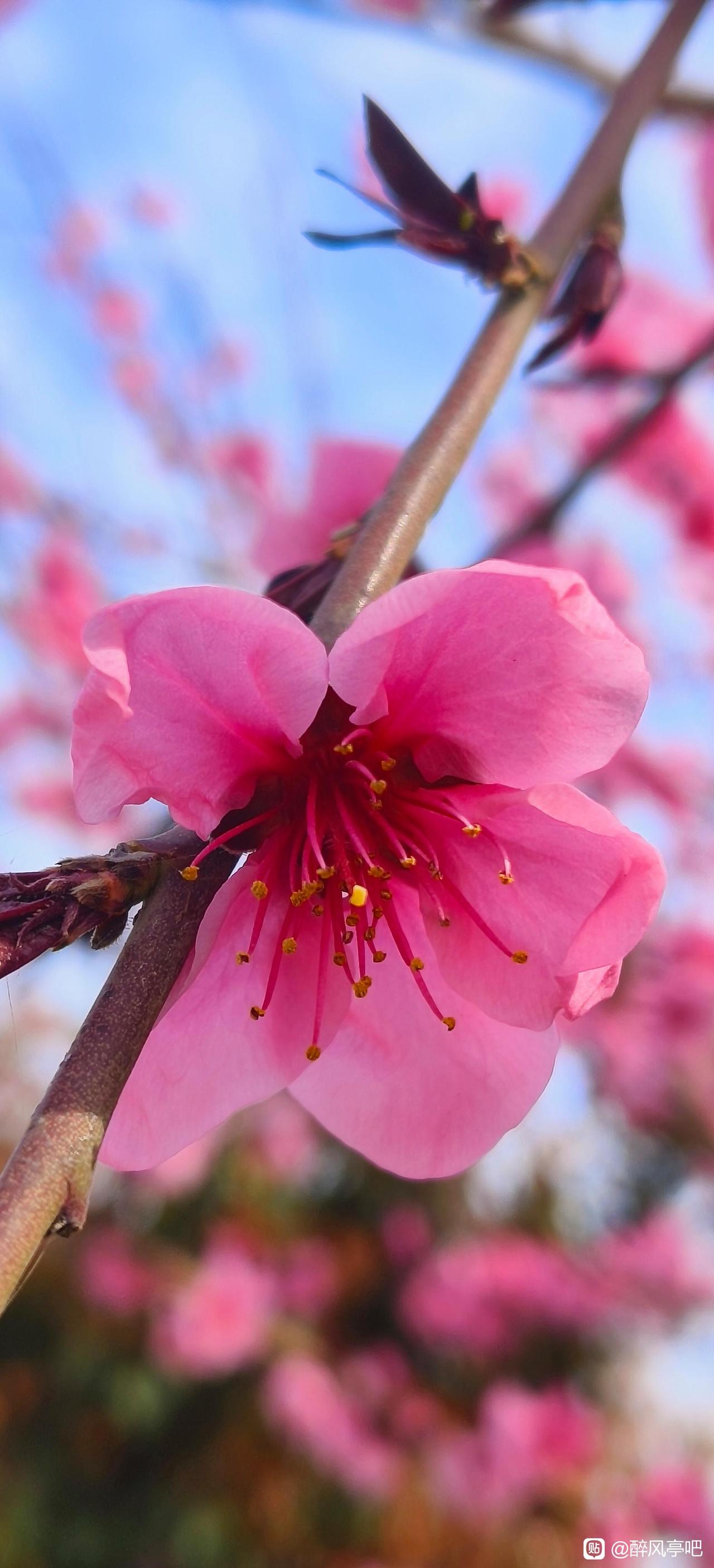 退休后如果你想要长寿，一定不要去买什么保健品，那都是骗人的，也不要玩命的去健身，