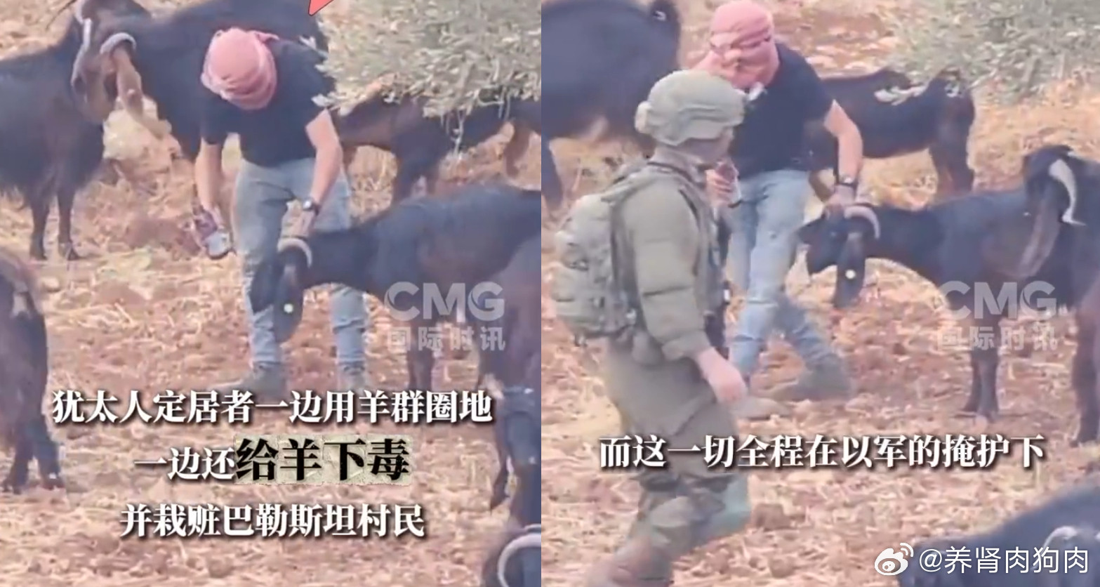 在美国哥伦比亚广播公司《60分钟》栏目当地时间10月11日播出的节目中，节目组在约旦河西岸地区，发现