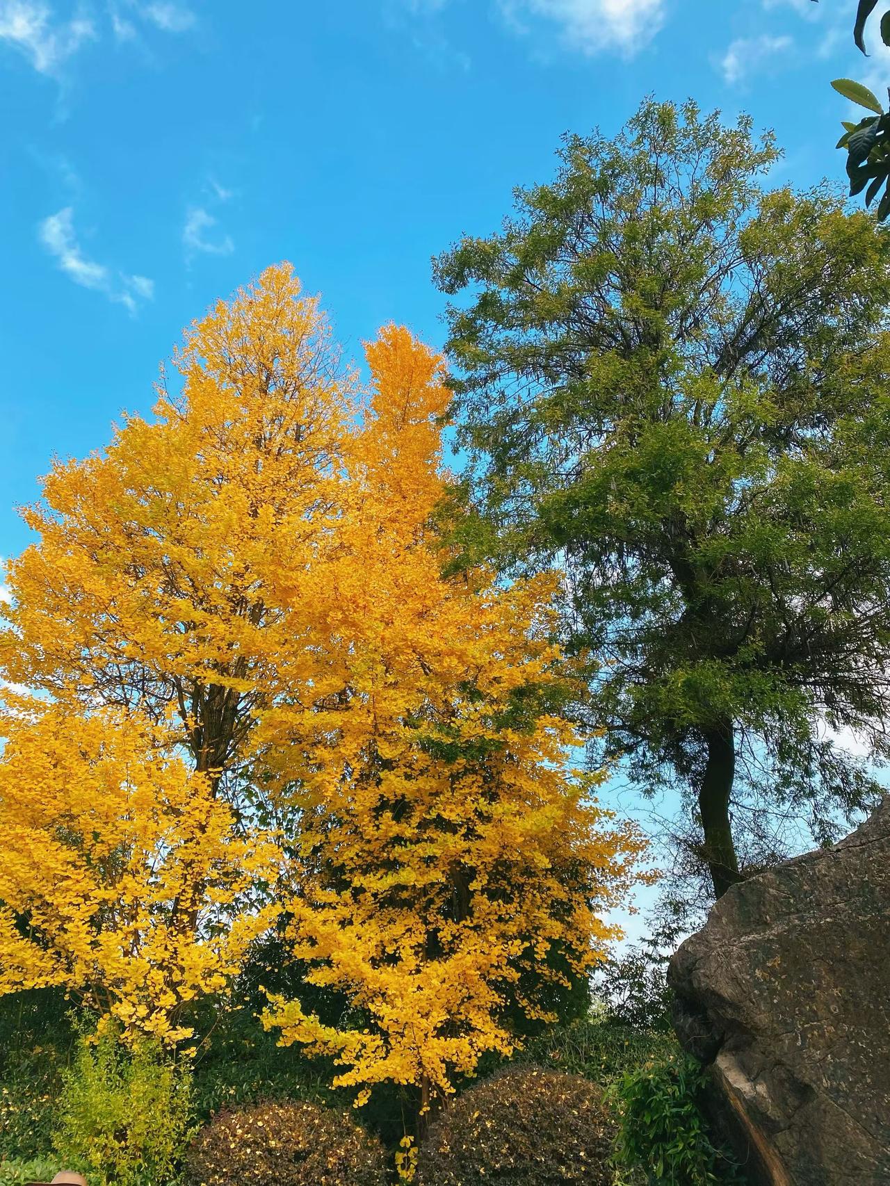 在股市一定要记住！1，没有把握的，看不懂的股票不要买！2，成本不够低的股票，
