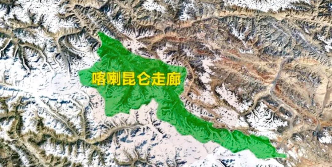 巴基斯坦愿意把喀喇昆仑走廊归还给我们，并不是单纯的友好，而是经过对比之后更愿意与