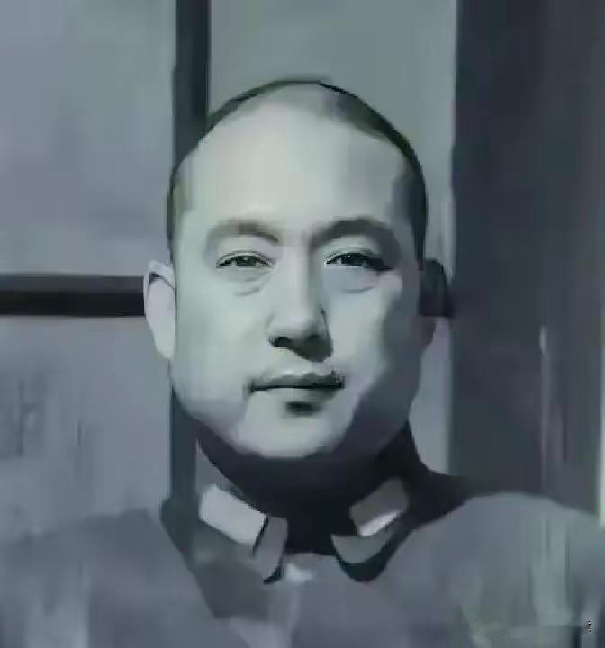 1949年大势已去，程潜劝宪兵司令张镇起义，他直言：校长若败，我陪他跳海1
