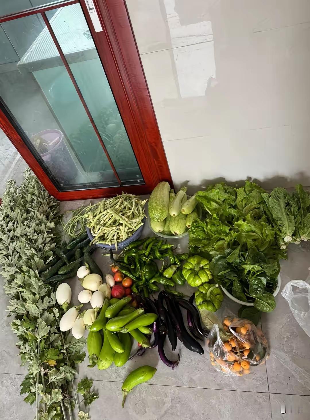 早晨六点，我还在睡，家里门就被敲的咚咚作响。我心想这谁啊，大早晨干啥呢。打开门一