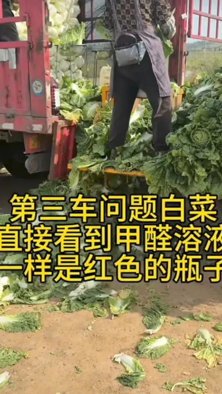 河北张家口为保鲜白菜蘸甲醛，官方：涉事人员已扣押。8月22号，博主渔猎齐哥发