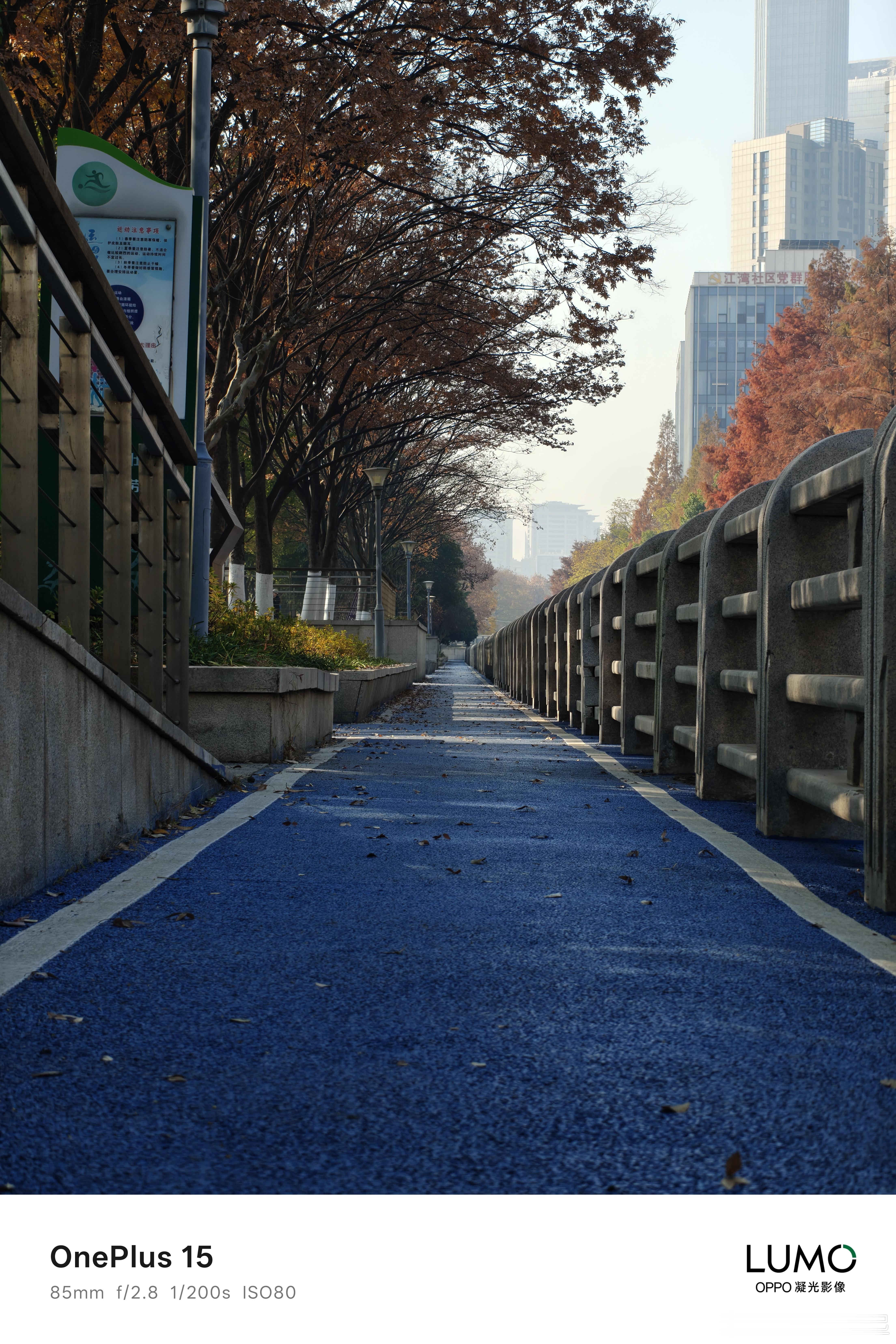 这个点出来跑步还算不算晨练坚持运动打卡