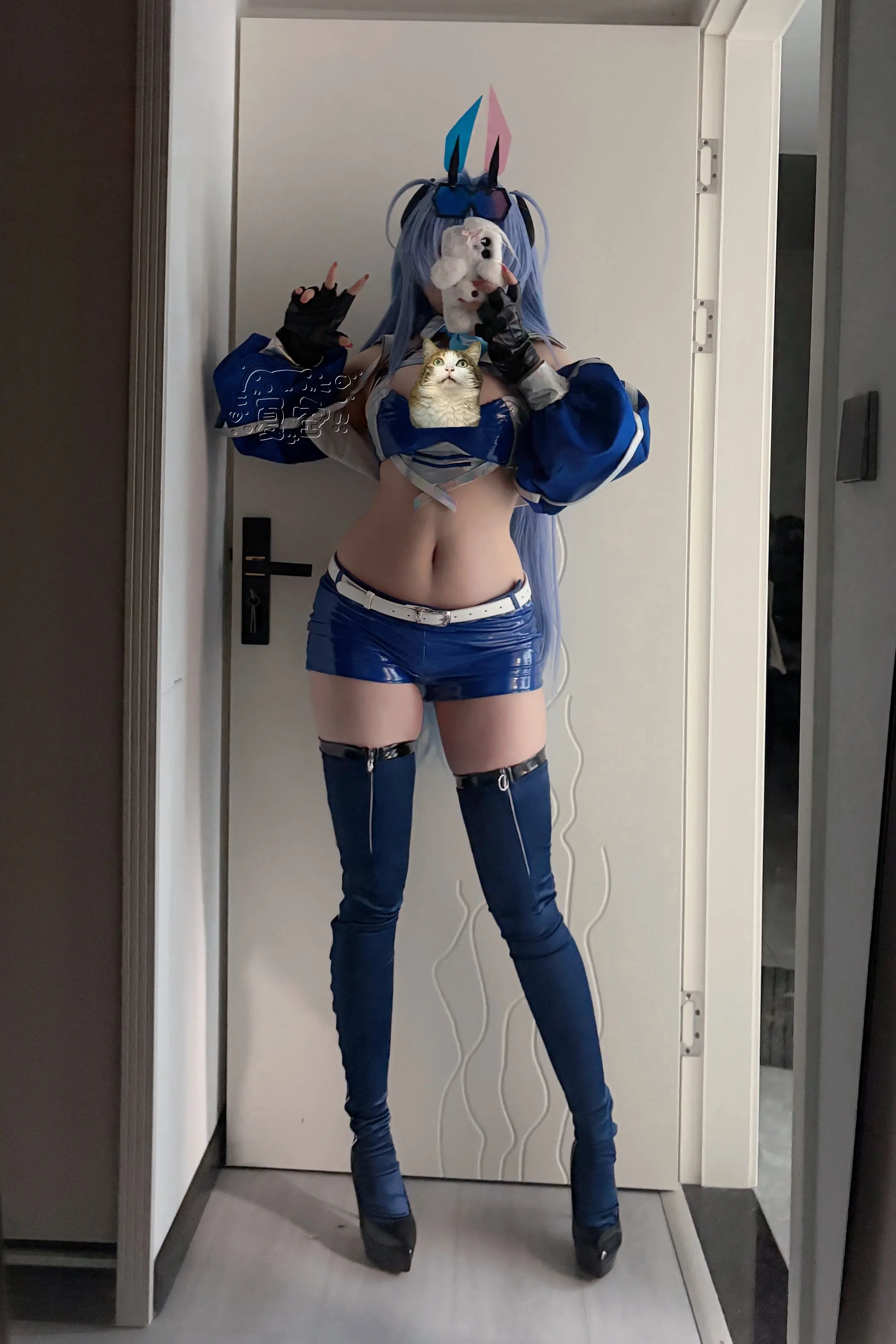 哪儿来的猫猫头。