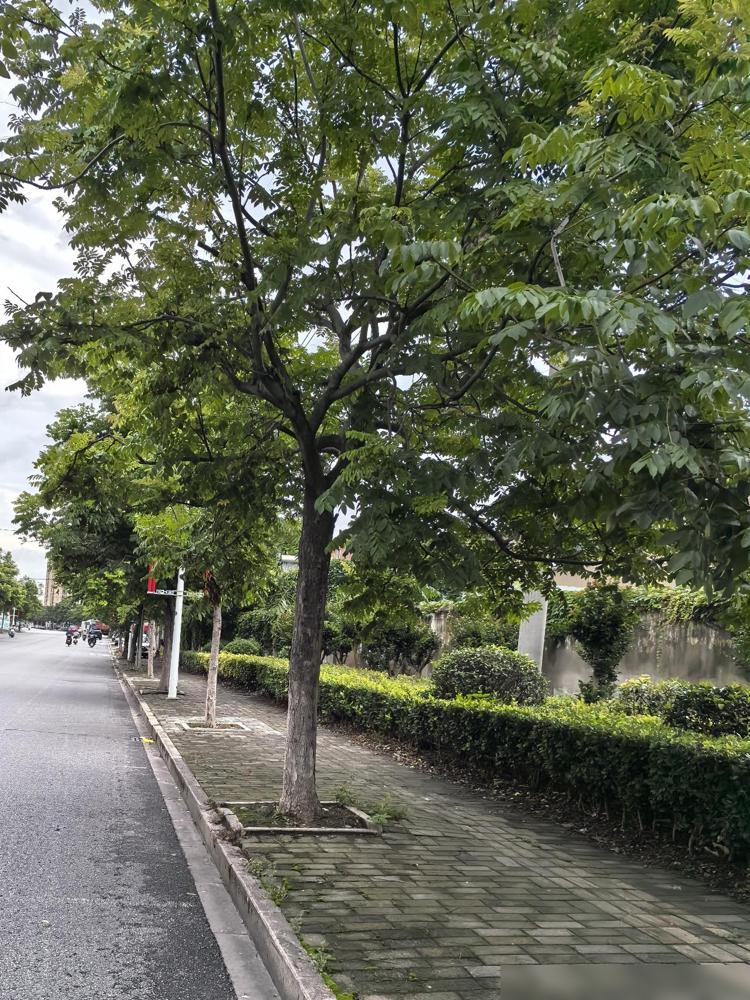 六十岁以后，尽量做到这十点：一、睡——不求时长，求规律我身边好几个刚退休的老