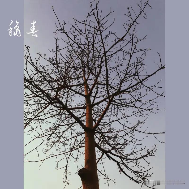 一个人何时才能看淡得失呢?人何时能看淡得失呢？小时候为糖果、分数，长大后为工作