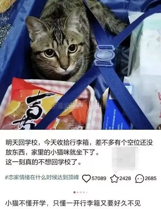😢​​​
