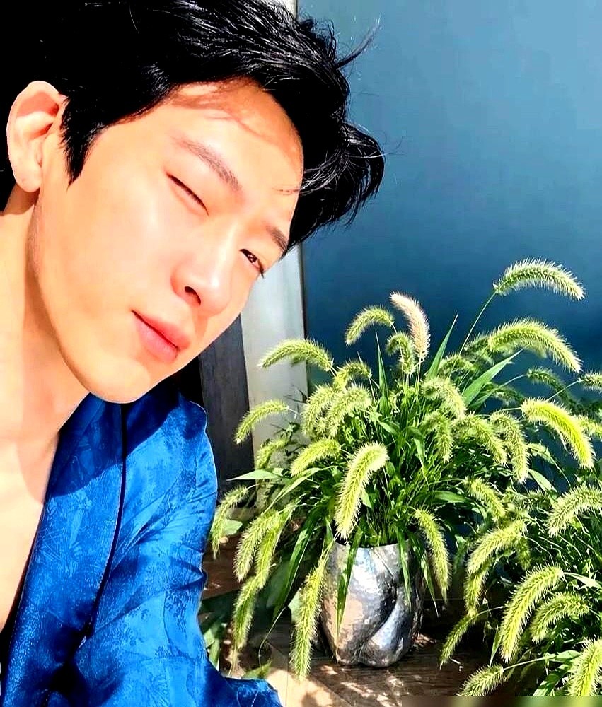 《早春晴朗》大结局才过了一个月，续集《盛夏晴朗》就官宣了。原班编剧回归，栾念和尚之桃的官方角色号也开