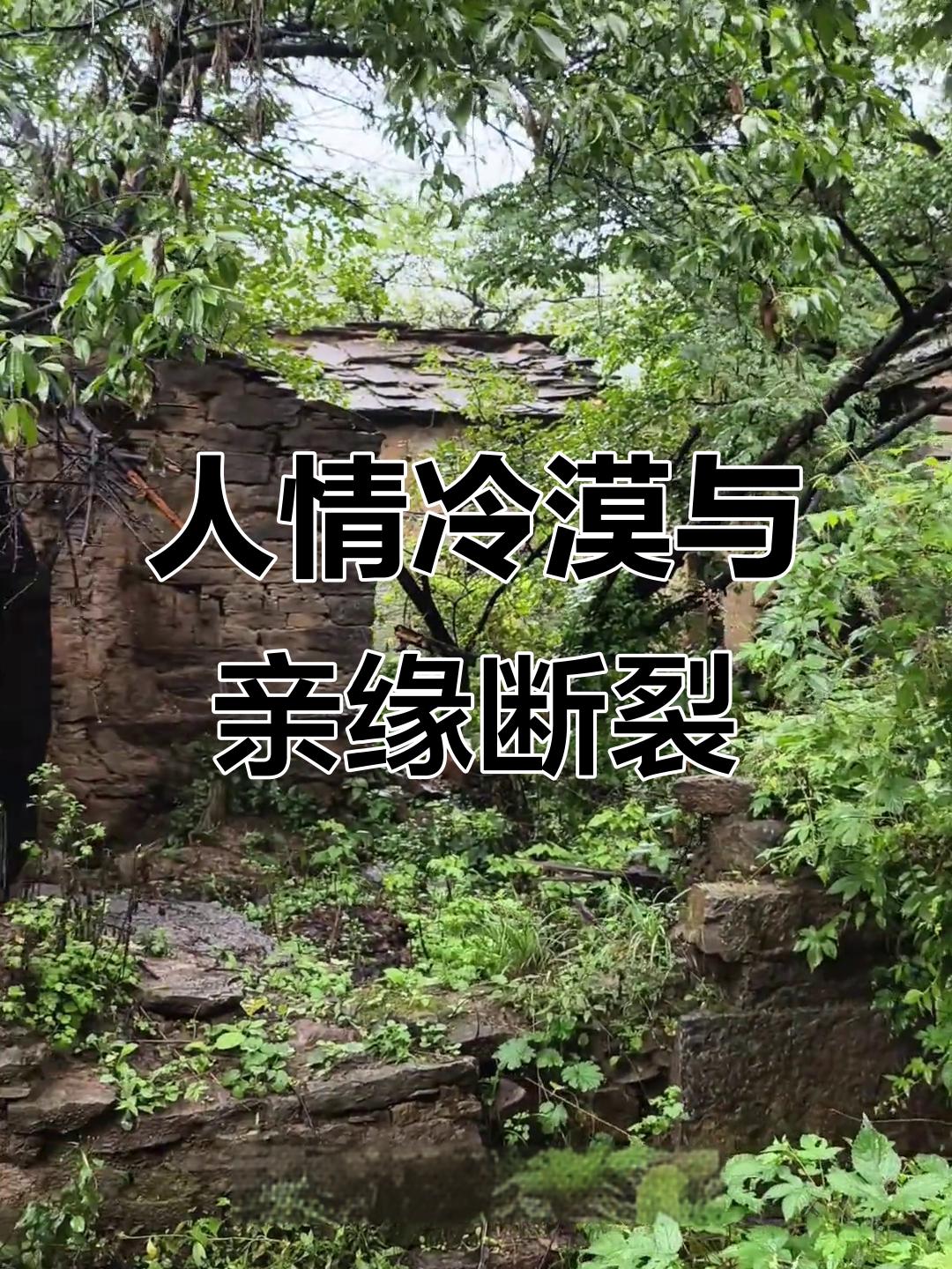 过完年了，一个老母亲从海南飞回家，却发现亲生儿子早已离世多日，手机最后的信息停留