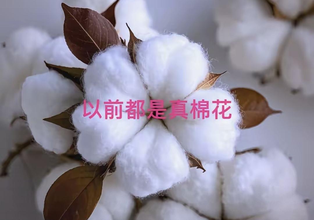 我们国家棉花产量全球数一数二，可现在穿衣盖被用的基本是聚酯纤维。这种材料说白了就