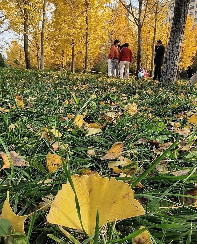 为什么会出现劳务派遣这种现象？春节电话拜年，一位乡镇工作的朋友谈起近两年该乡增了
