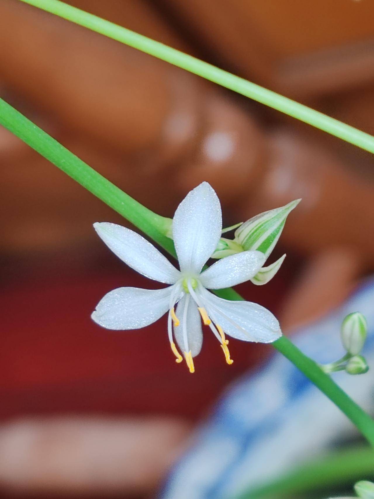 晒出你近期的原创摄影作品