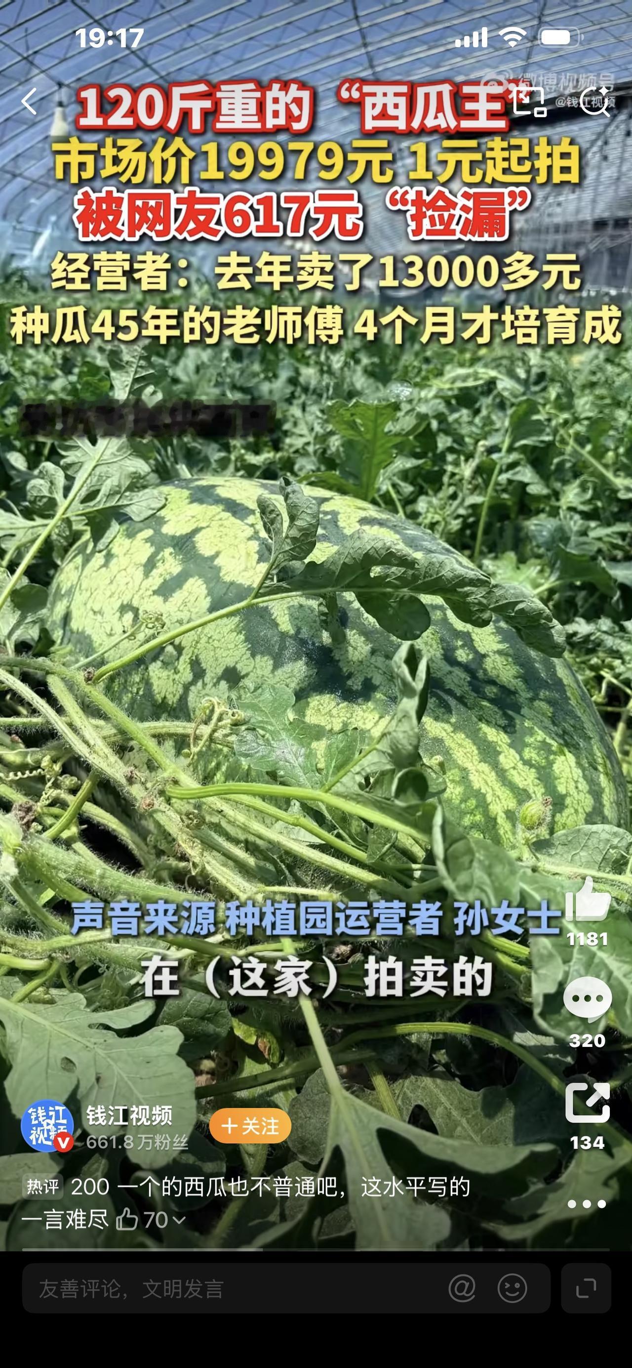 炸锅！120斤“瓜王”只卖617元！去年还拍1.3万，今年直接“白菜价”你