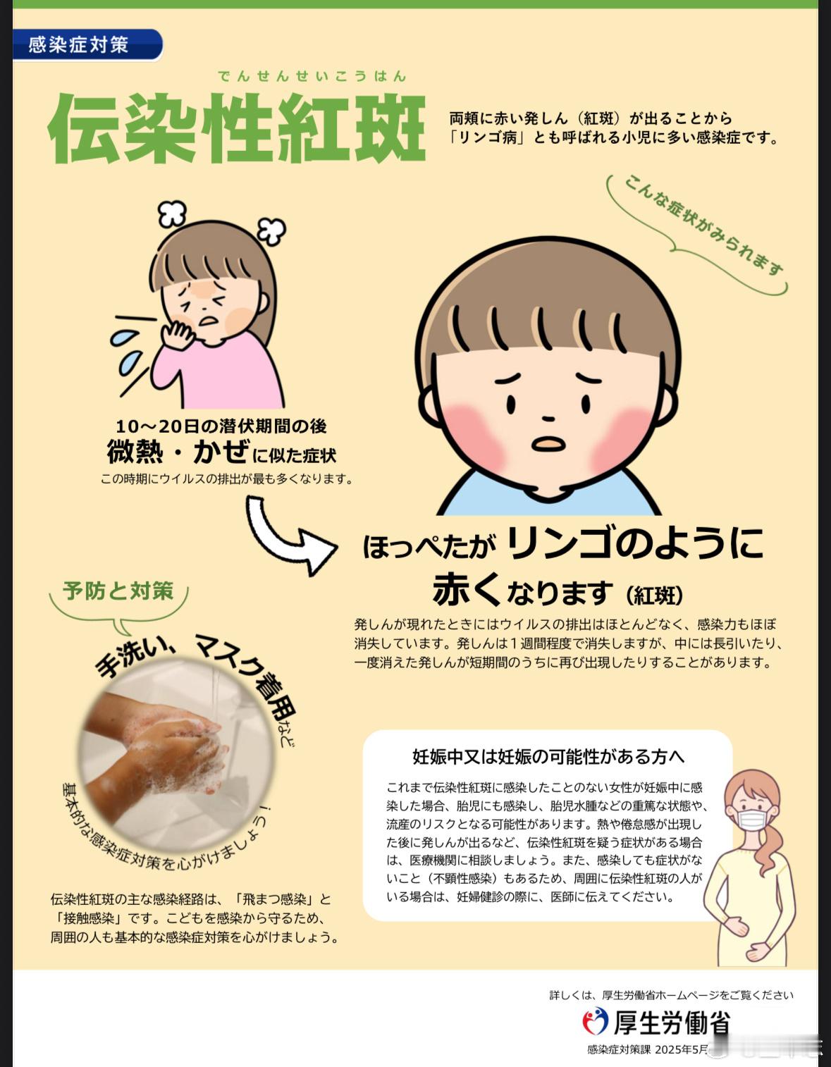 日本苹果病其实苹果病是俗称，大名叫传染性红斑，是细小病毒B19引起的常见传染