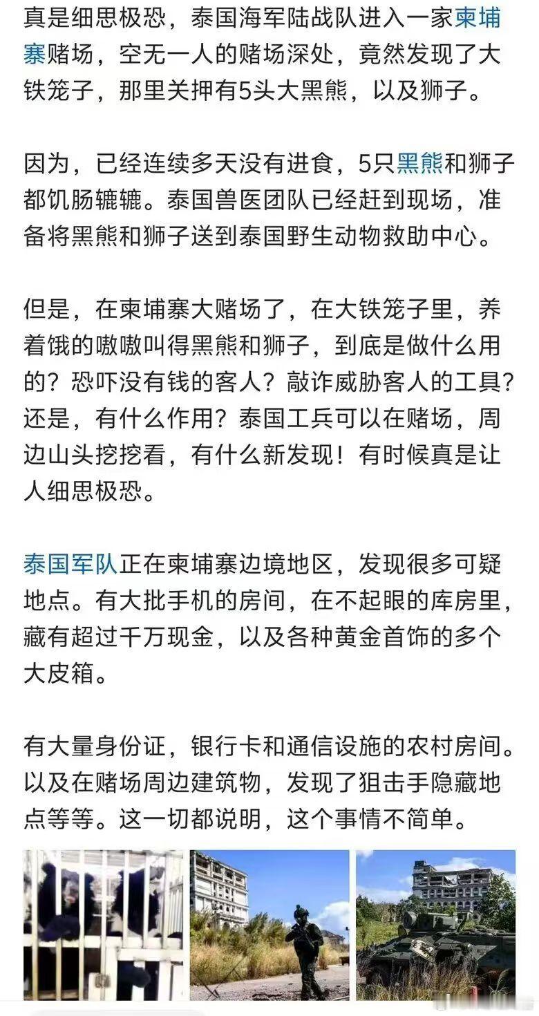 园区养猛兽？细思恐极！