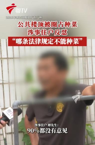 广州白云区，3户人家把公共楼顶改成"私家菜园"，不仅种满瓜果蔬菜、搭起瓜棚，还安