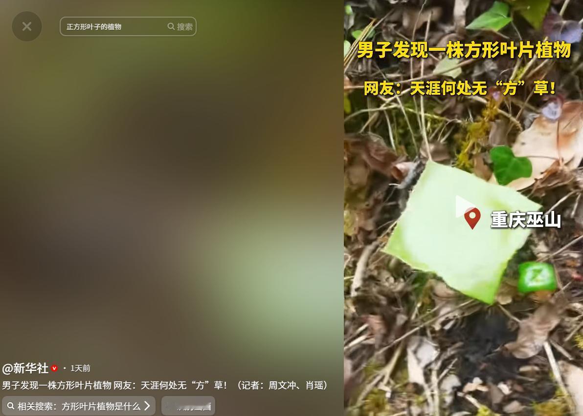 真是大千世界无奇不有啊！5月4日新华社报道，一名男子趁着五一假期去重庆巫山爬山，