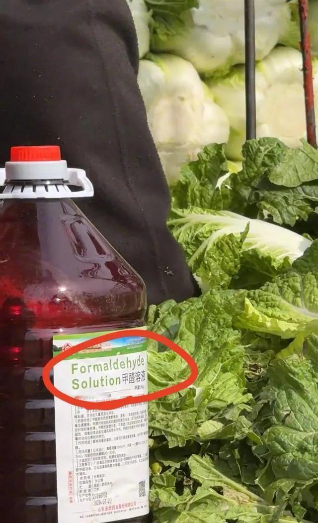 白菜被曝蘸“甲醛”？官方通报：属实，系收购商违法行为河北张家口康保县官方通报