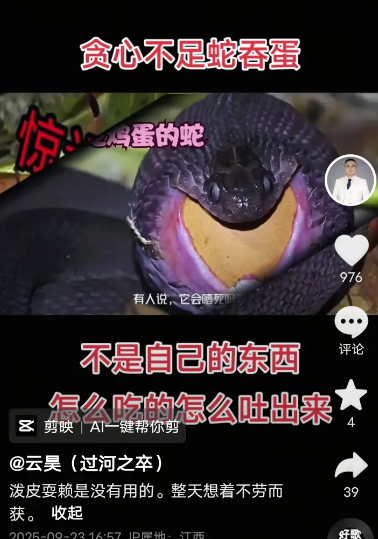 好消息，52马上要开了，消息确凿！姚家男儿今天晚上直播说：好日子长着呢，等