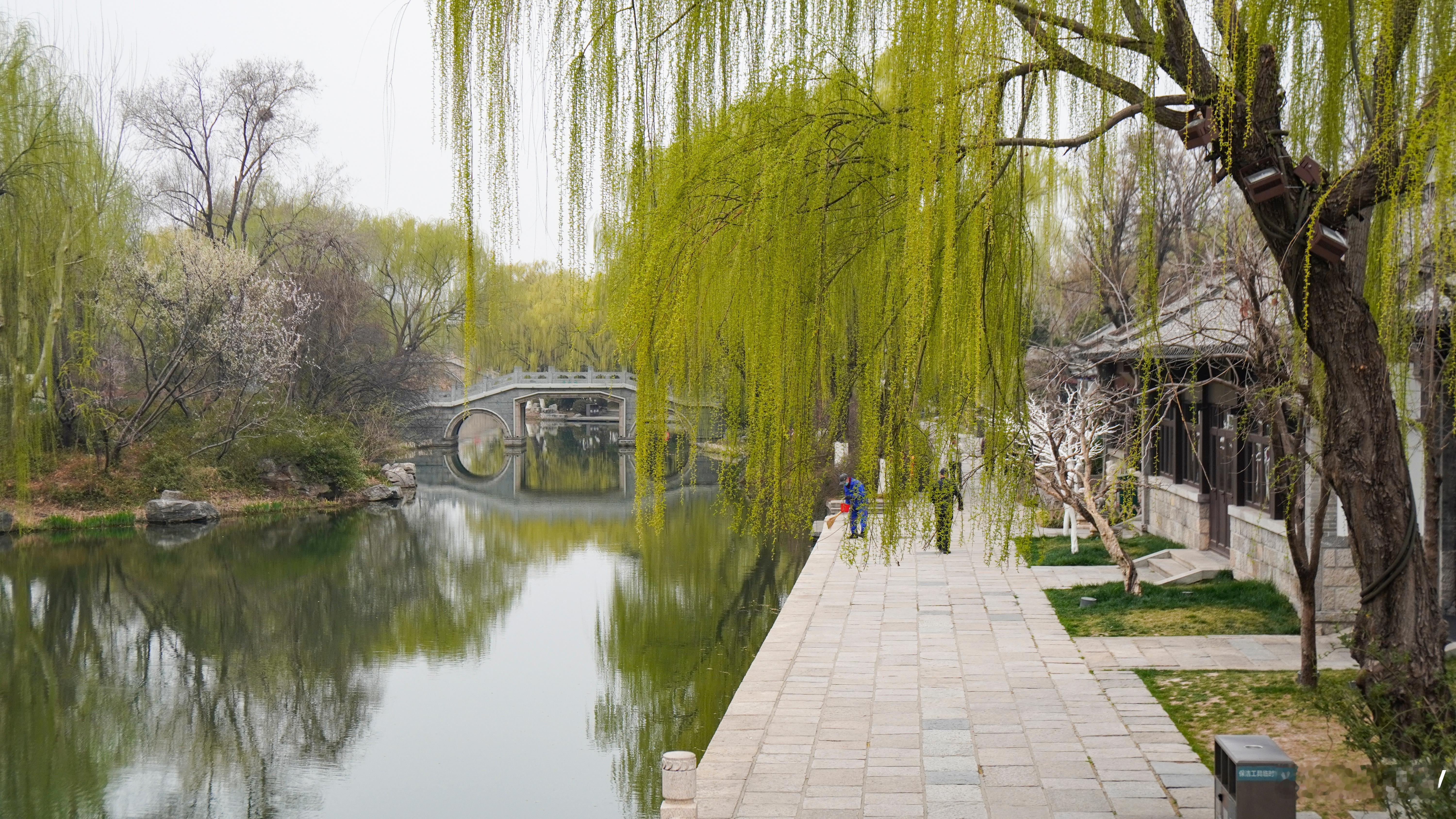 在春日的济南，百花洲泉水老街和着大明湖，宛如一幅诗意画卷。青石板路被暖阳轻抚，泛