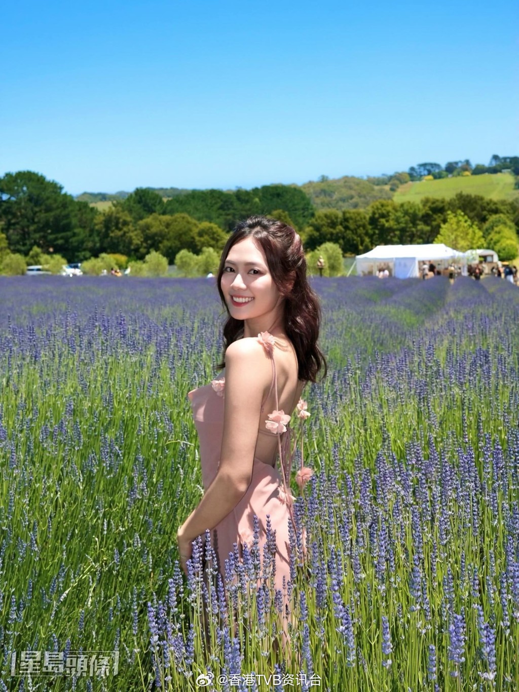 星岛：TVB新世代小生花旦崛起陈晓华朱敏瀚拍住上位张驰豪凭多重身份跑出｜名人