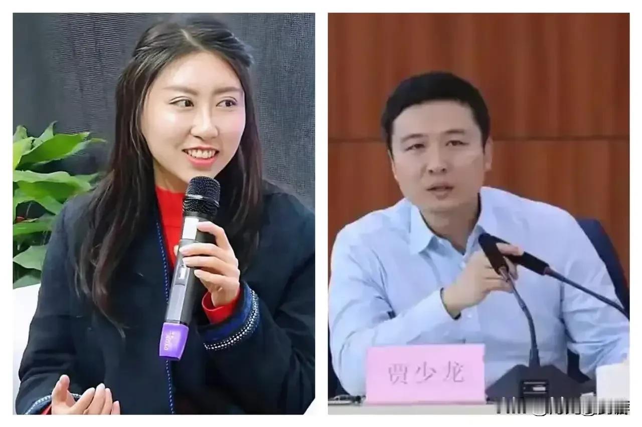 贾浅浅因涉嫌论文大面积抄袭逼迫辞去了西北大学教授工作，其相关待遇也随之被一同撤销