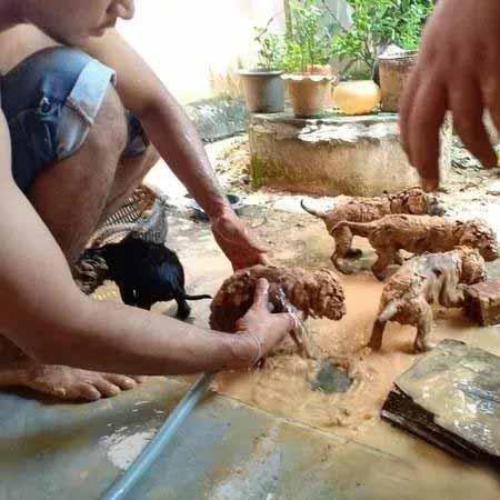 有一位善良的小哥，他从井里捞出来了五颗小泥球。这些小泥球呼吸急促，奄奄一息。它们