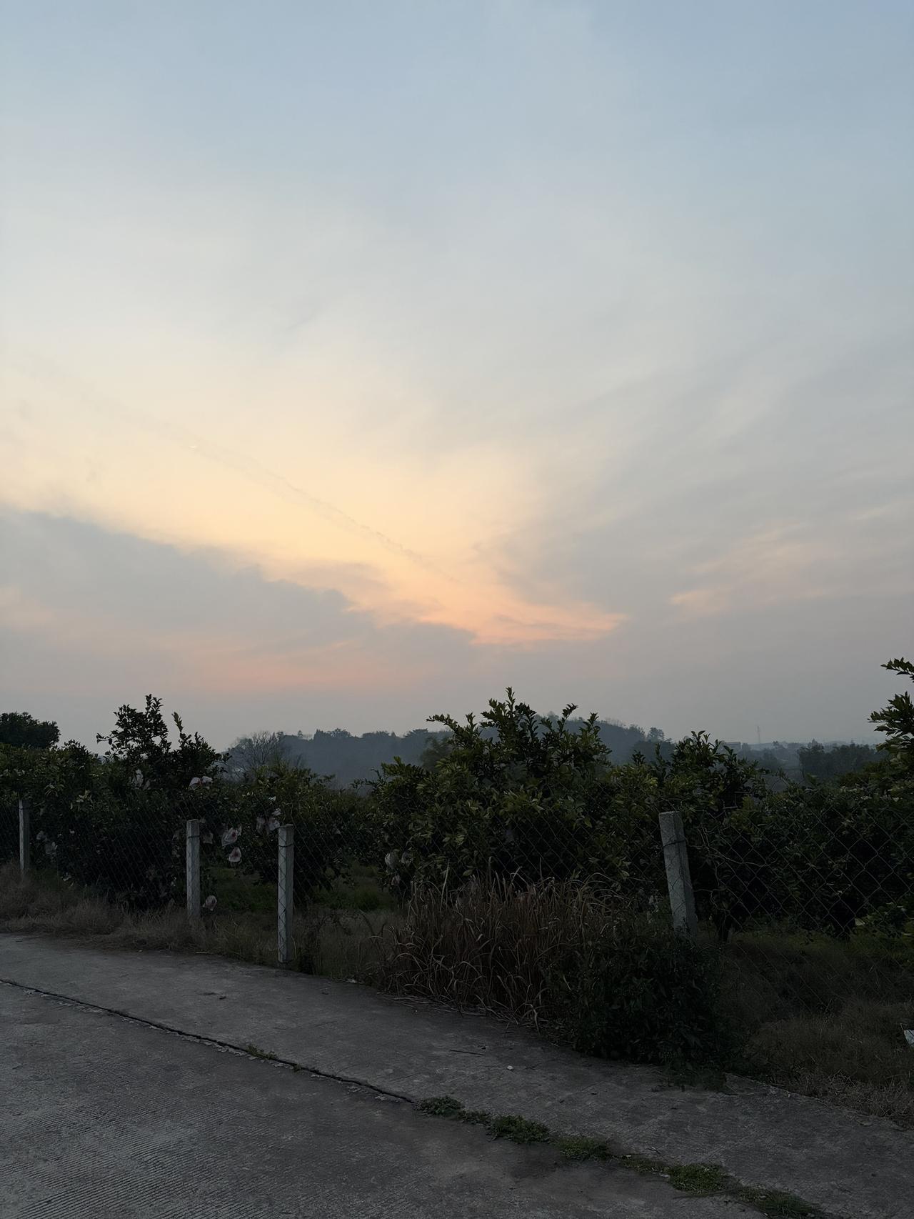 家乡景色记录家乡美景晒出你拍的山顶的风景美丽的家乡田园风光